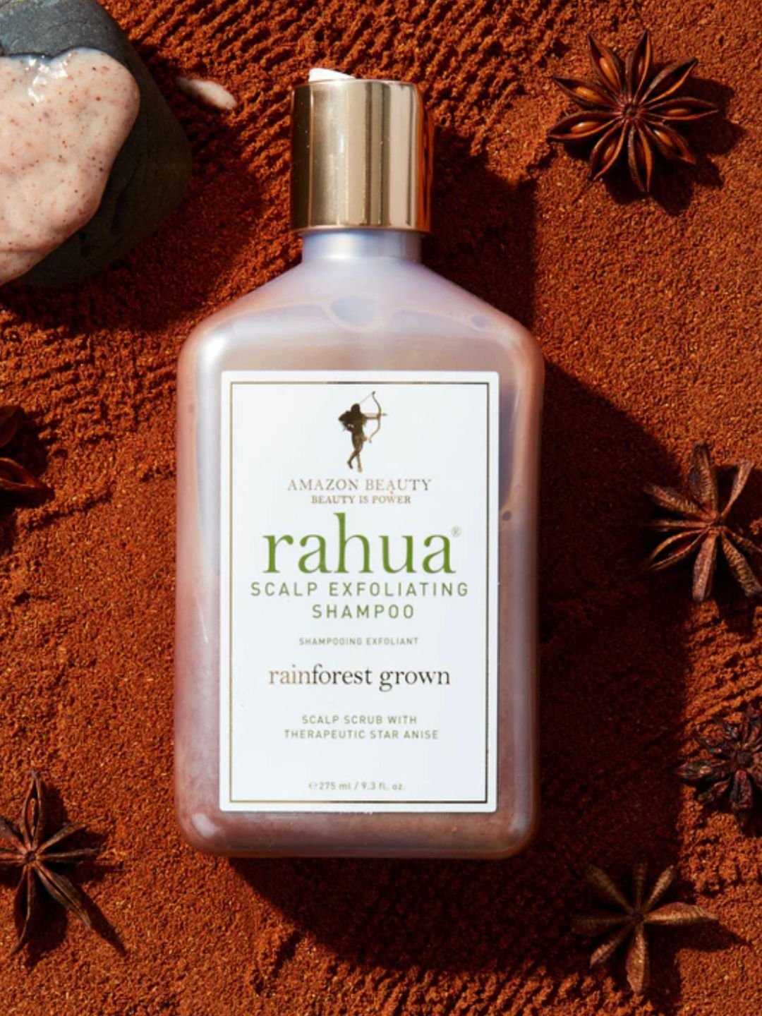 Shampoing Exfoliant Cuir Chevelu | Rahua