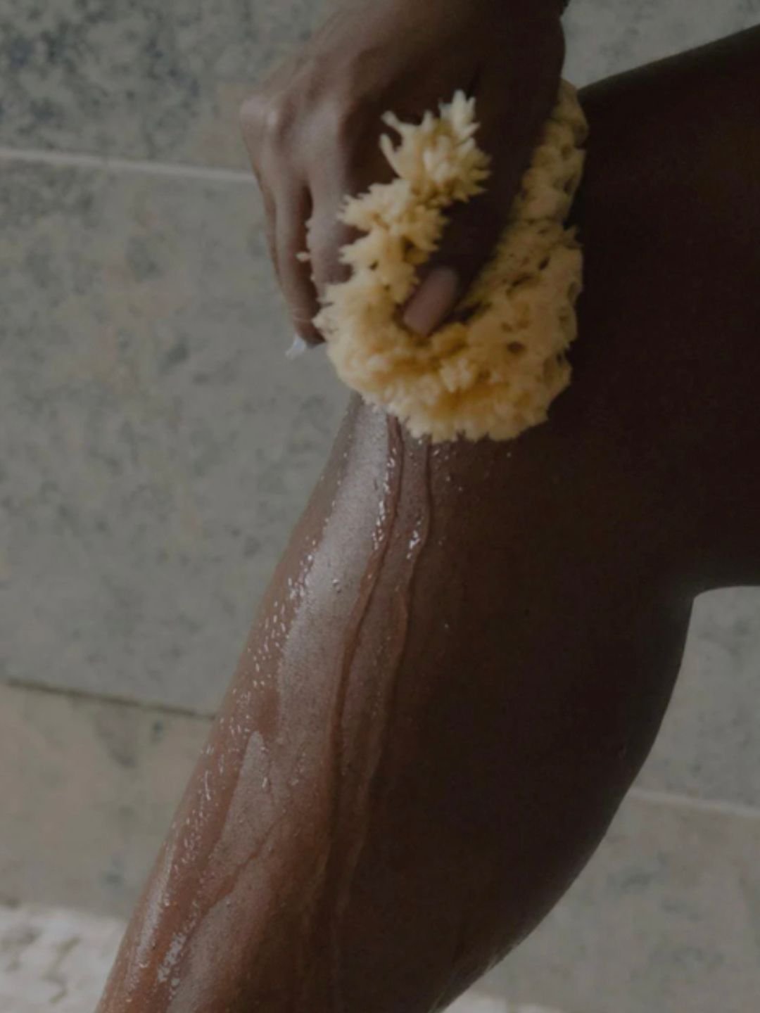 Éponge de Mer - WELL KEPT