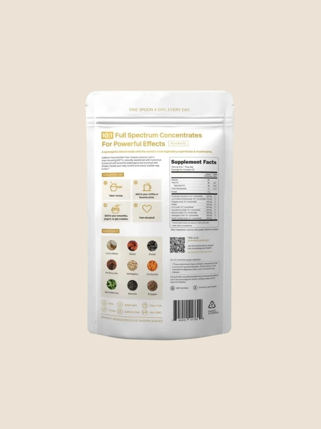 Boost Focus & Clarté Mentale - ALCAMI ELEMENTS