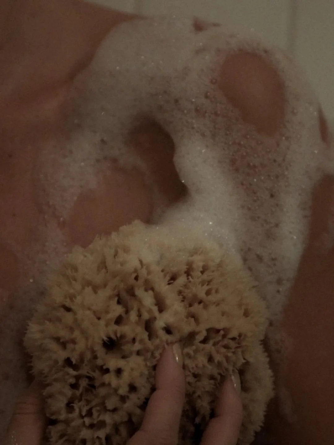 Éponge de Mer - WELL KEPT