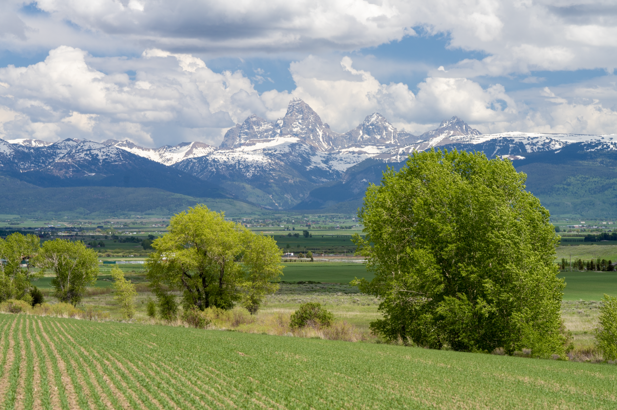 Landscape with green farmland, trees, and snow-capped mountain range in the background under cloudy sky.
