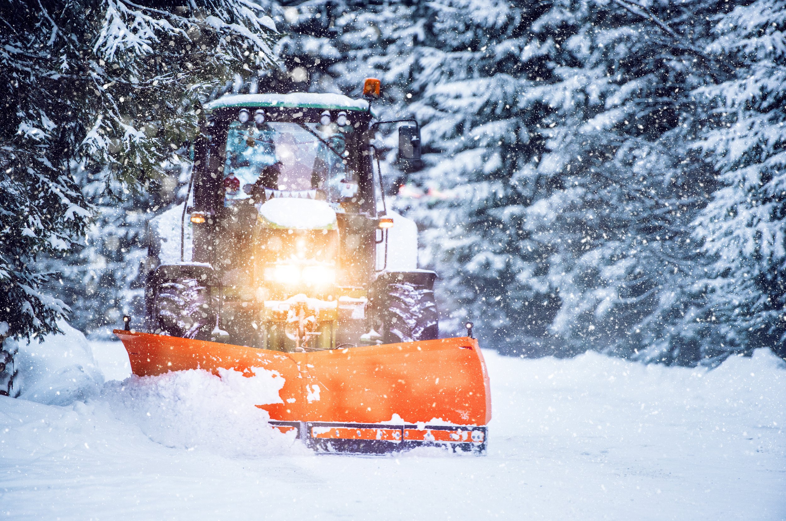 Snowplow clearing a snowy road in a forest during heavy snowfall.