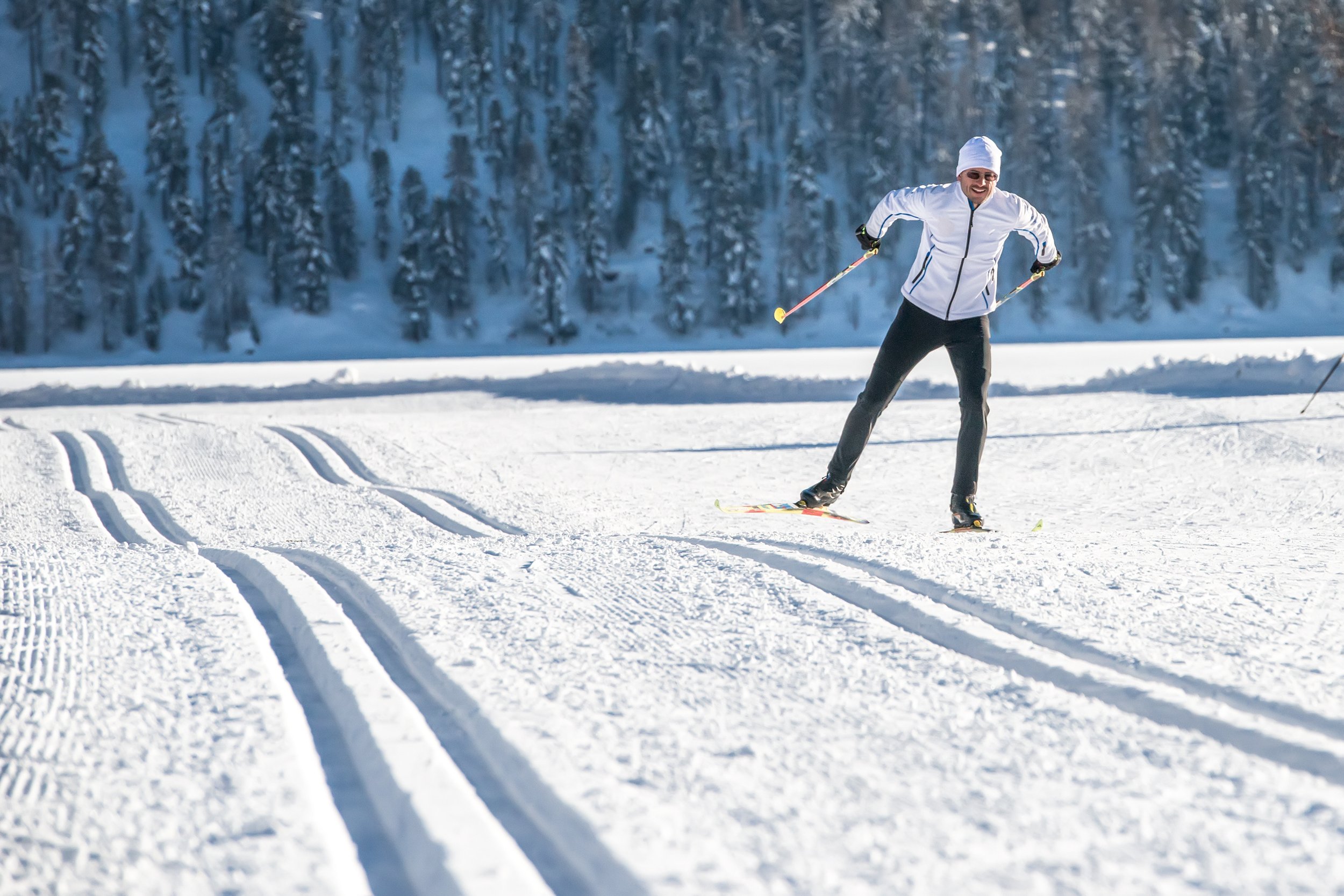 Person cross-country skiing on a snowy trail with pine trees in the background.