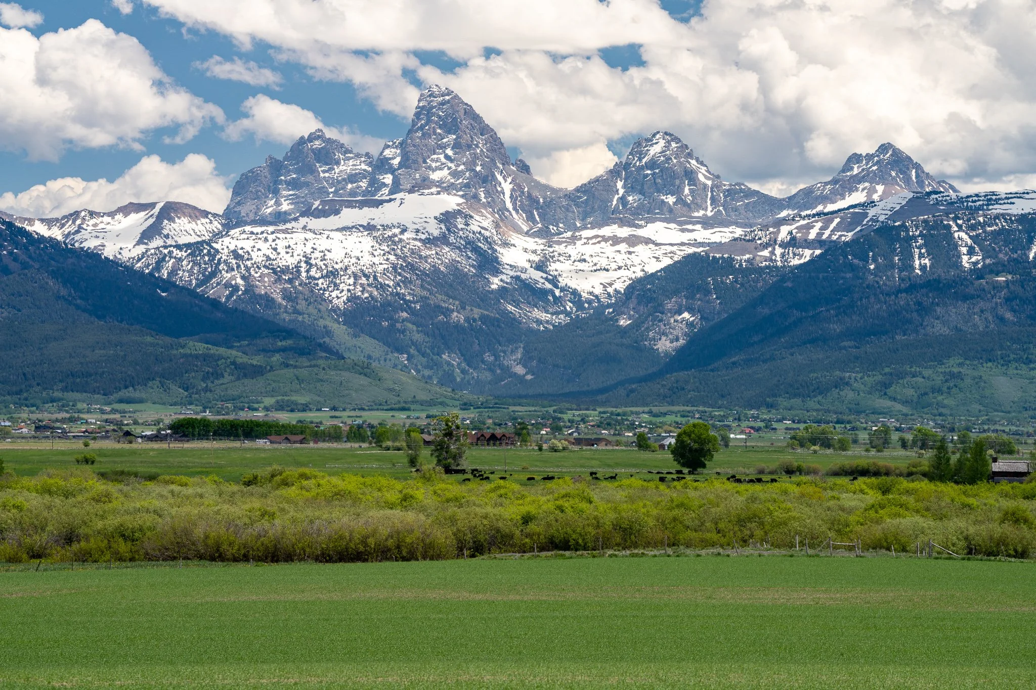 Ranch 18 Sleeping Moose — Teton Range views