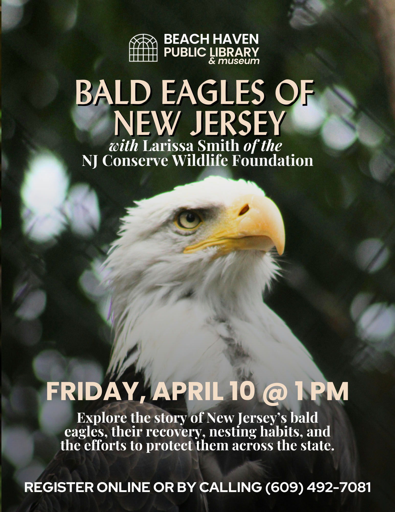 BALD EAGLES OF NEW JERSEY