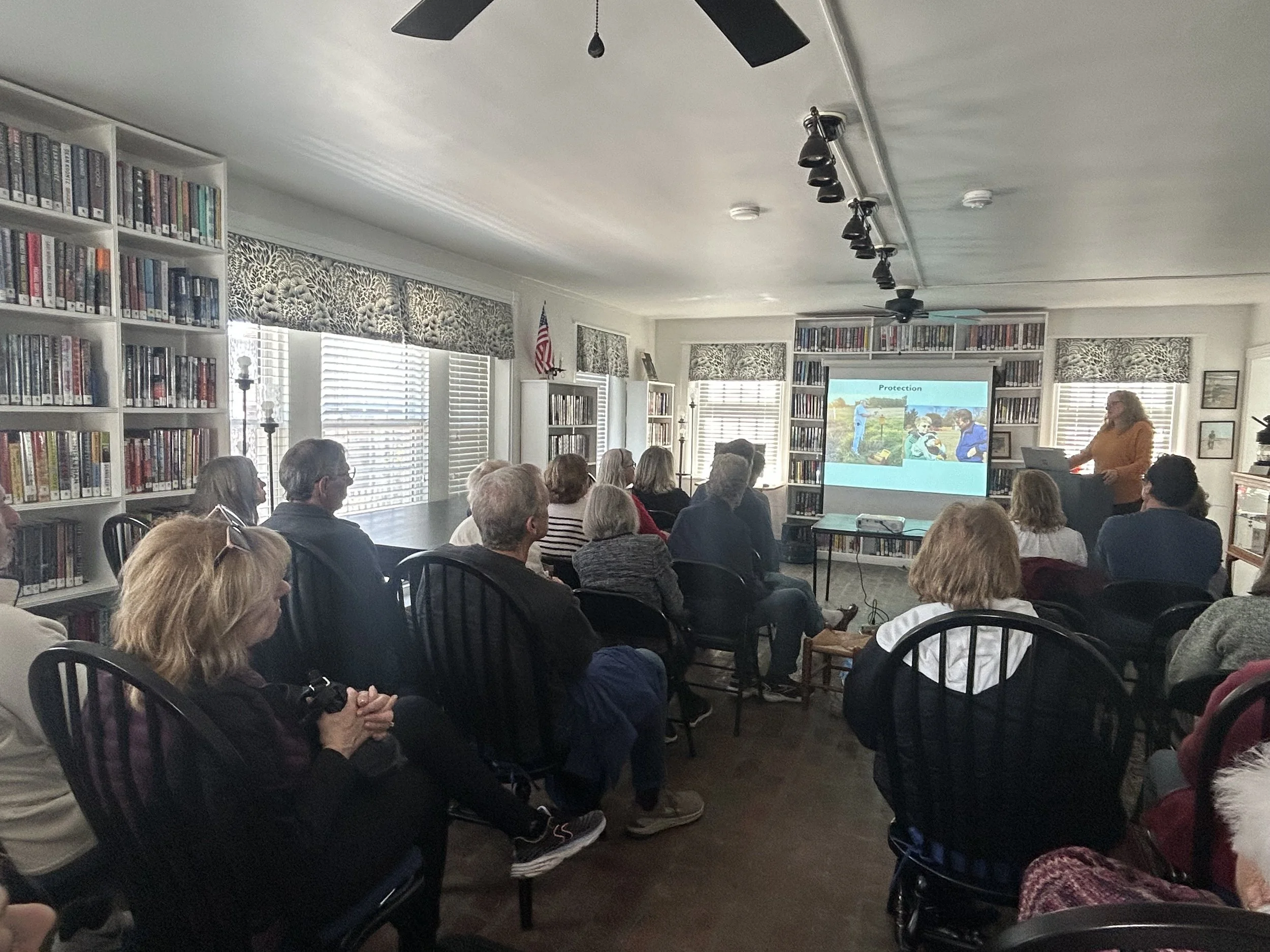 Exploring the Story of New Jersey’s Bald Eagles