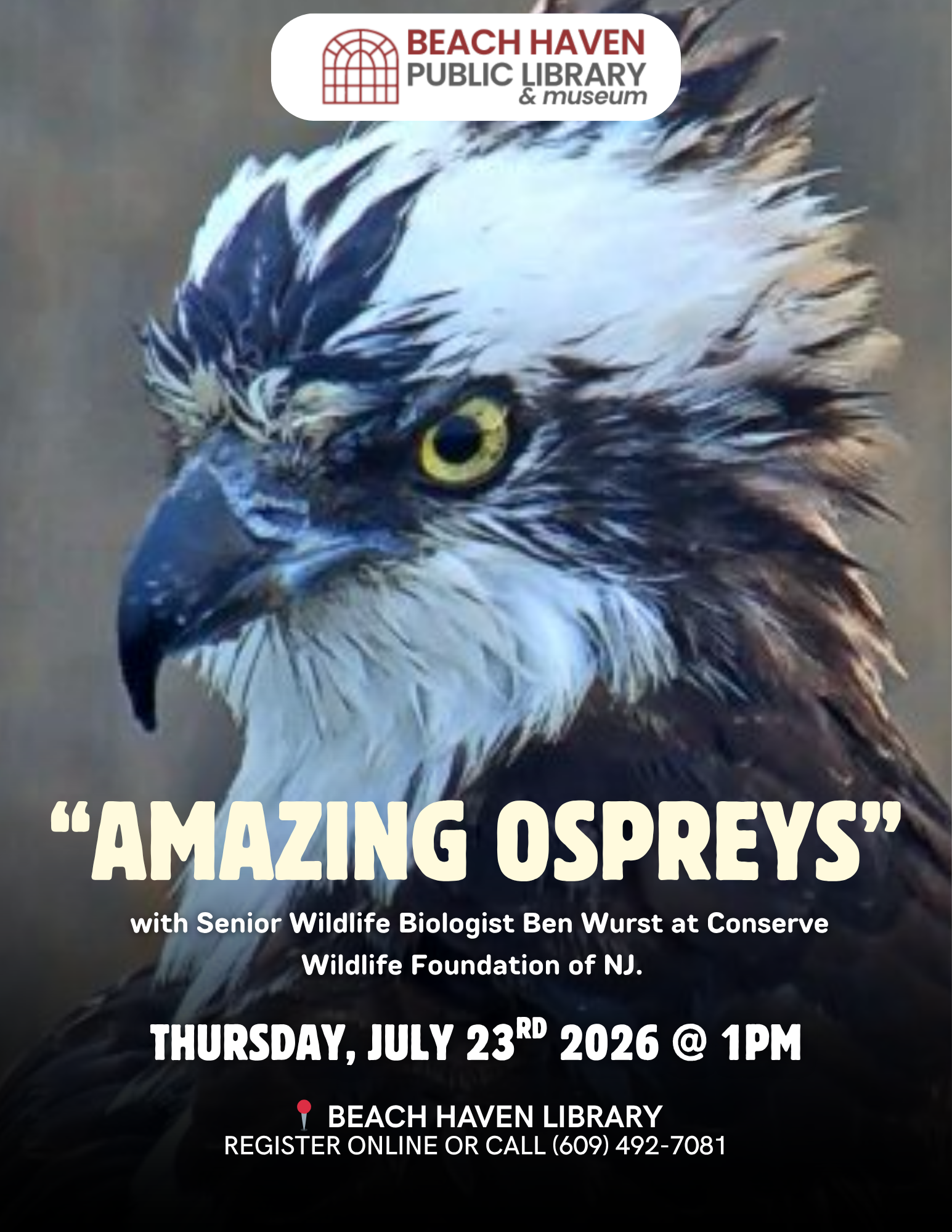 Amazing Ospreys