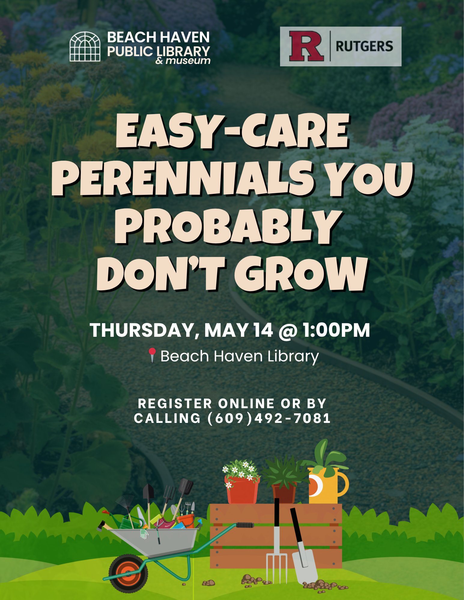 Easy Care Perennials you Probably Don't Grow