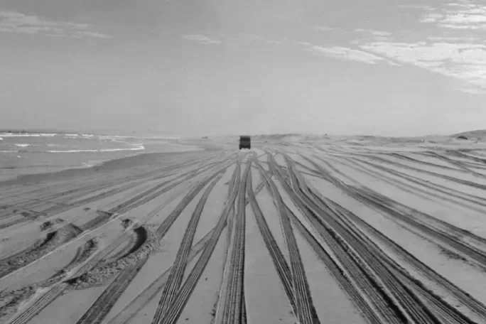 sand dune safaris.webp