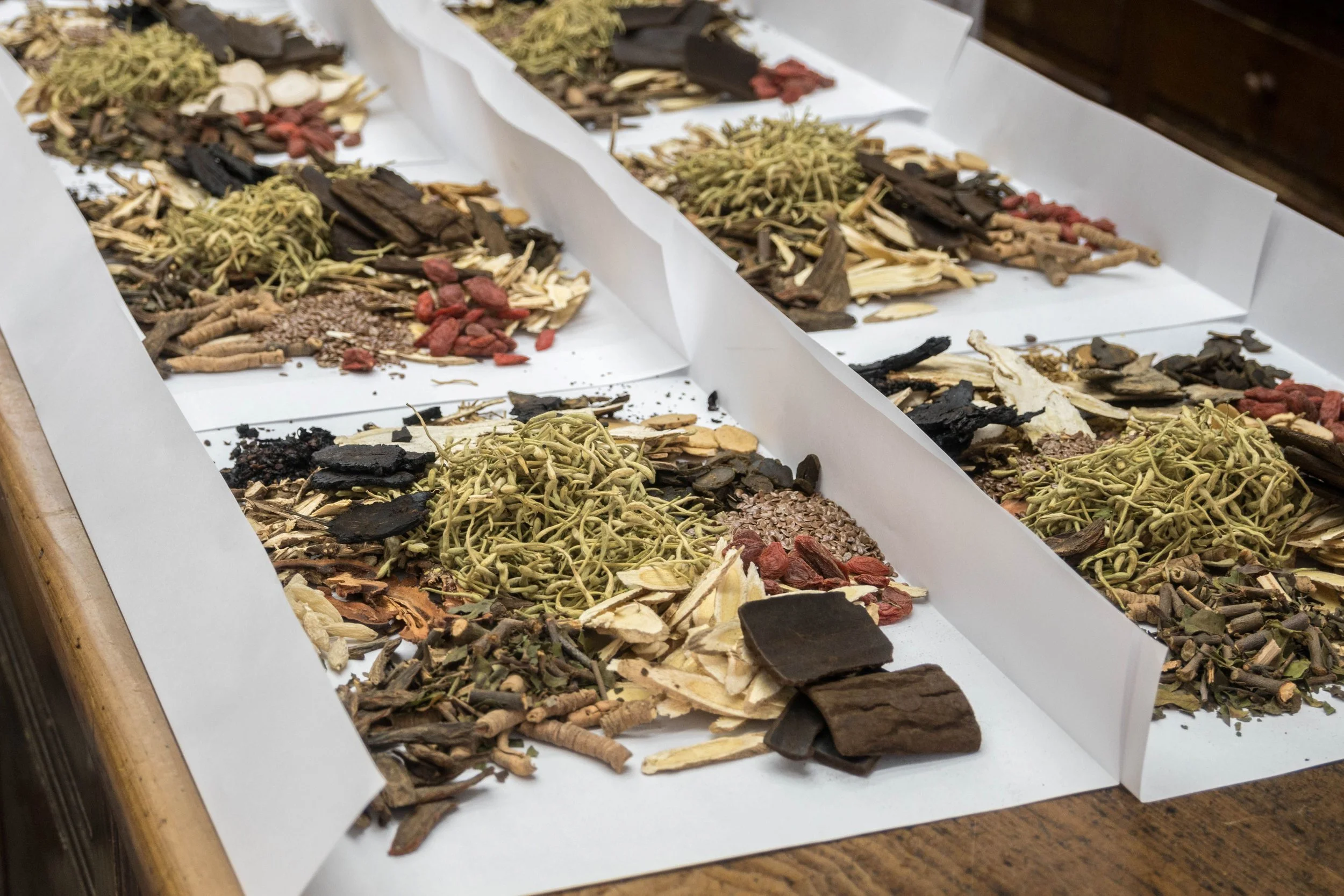 Various dried herbs and roots displayed on white paper for traditional herbal medicine.