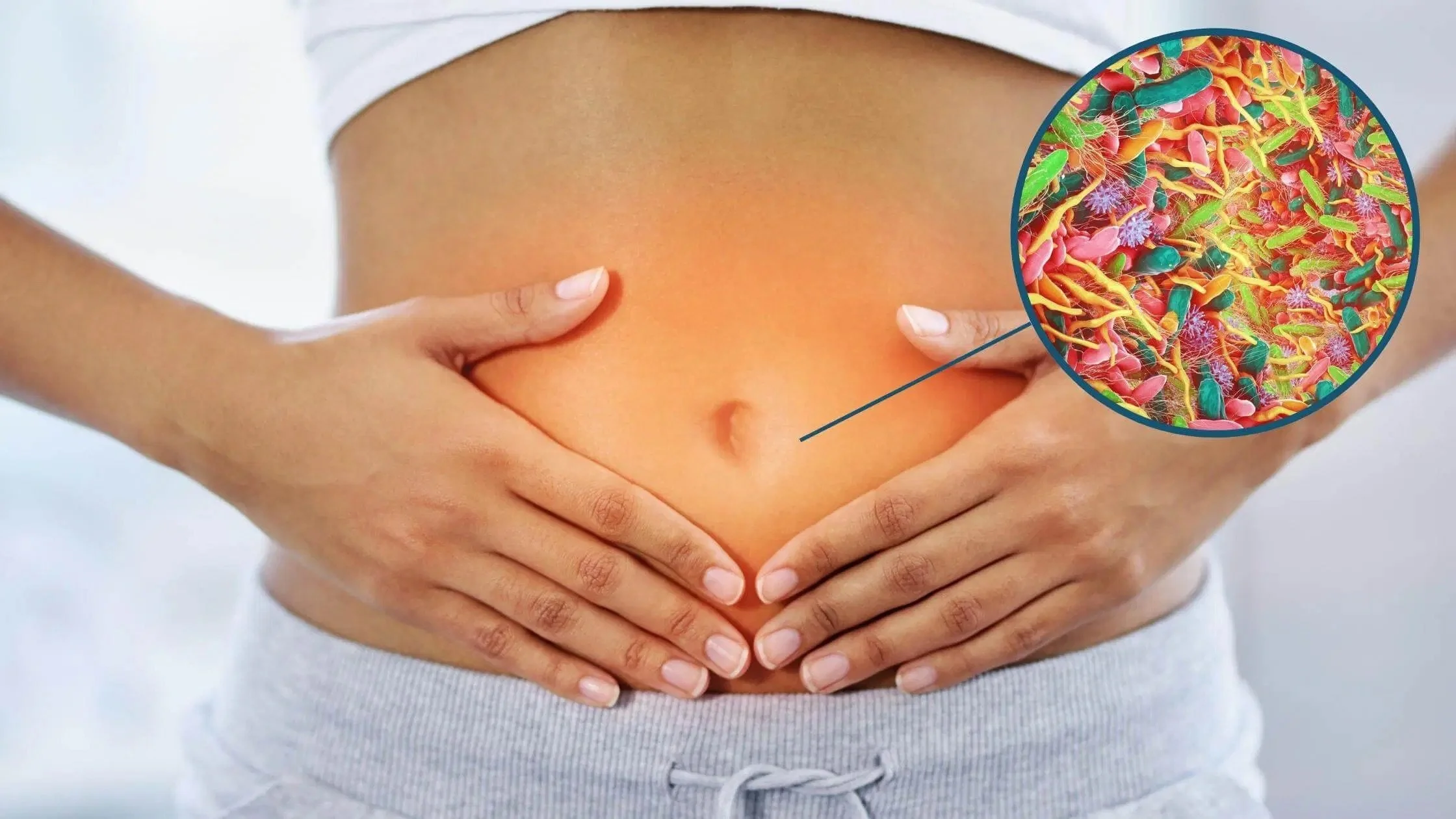 Close-up of a person's abdomen with hands holding it, depicting an illustration of gut microbiome using colorful microbes. Stomach area is highlighted, indicating digestive health concept.