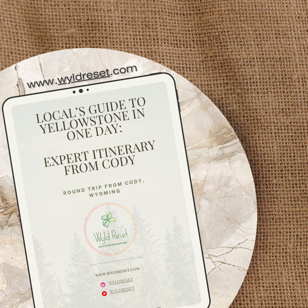 One day 2026 Promo.png