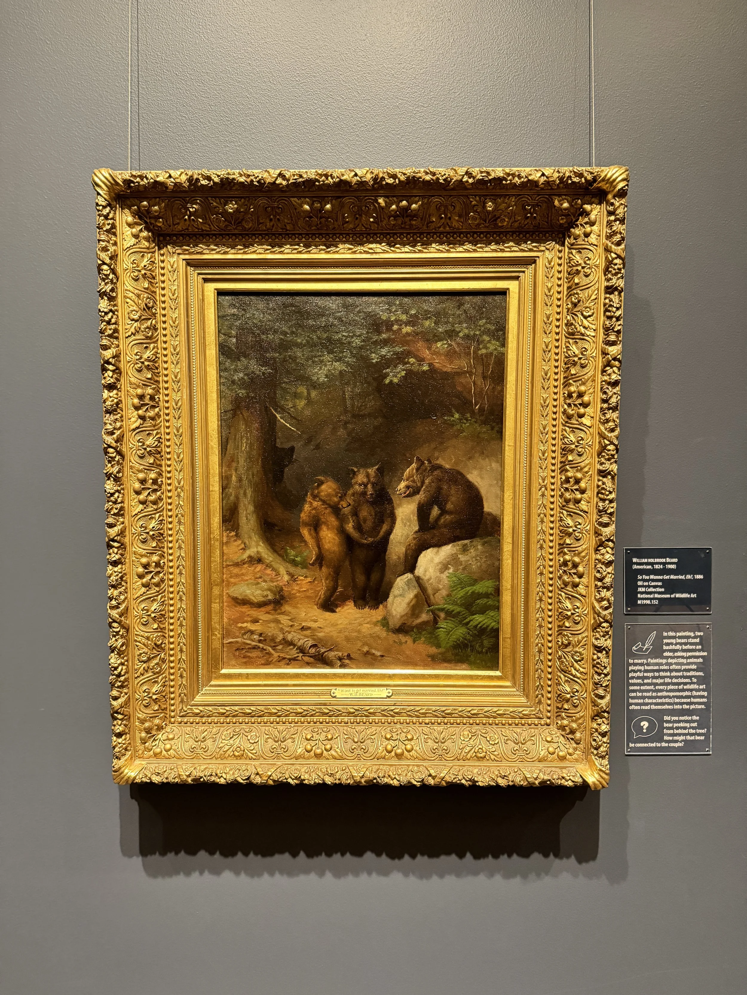 The National Museum of Wildlife Art