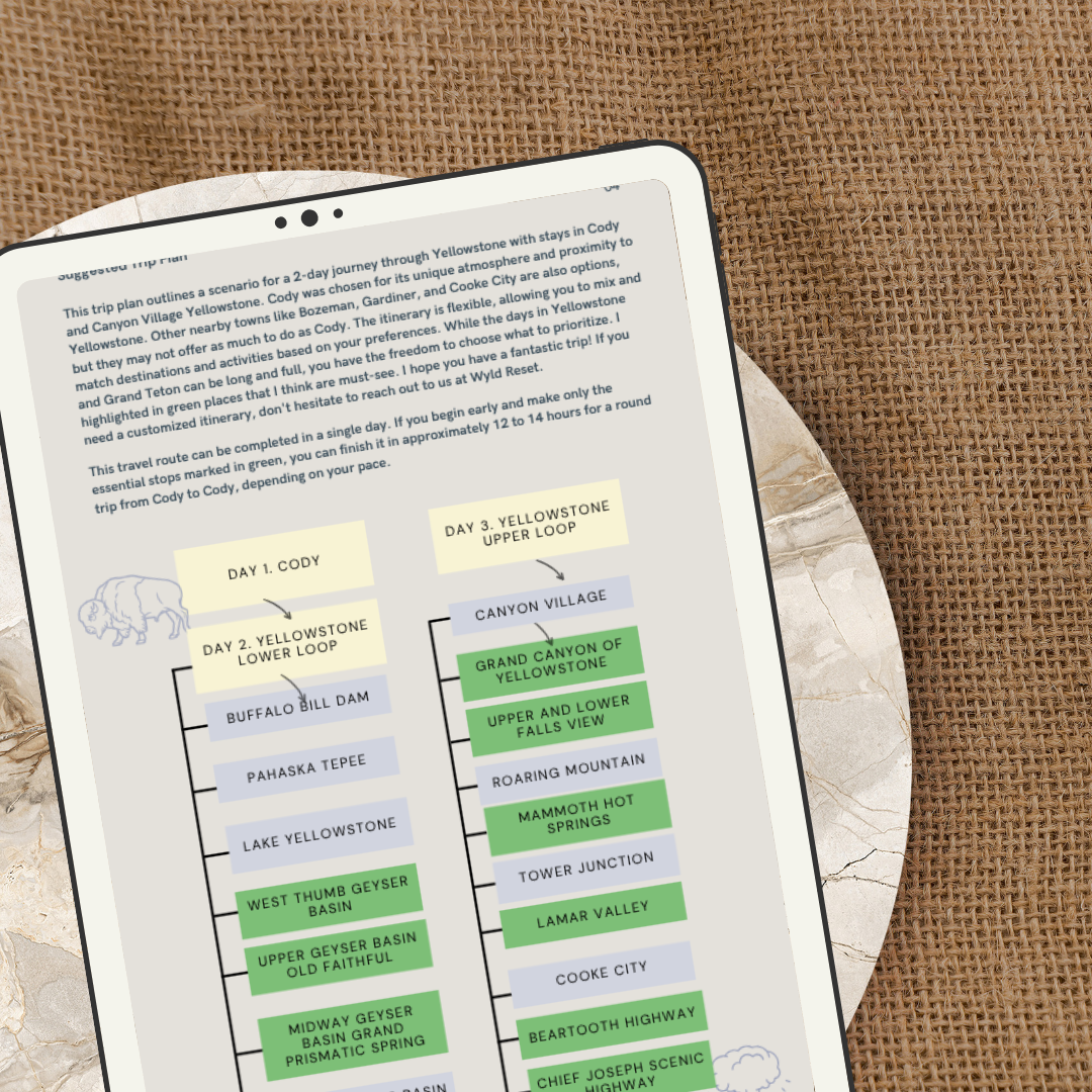 Solo 2026 Promo (1).png