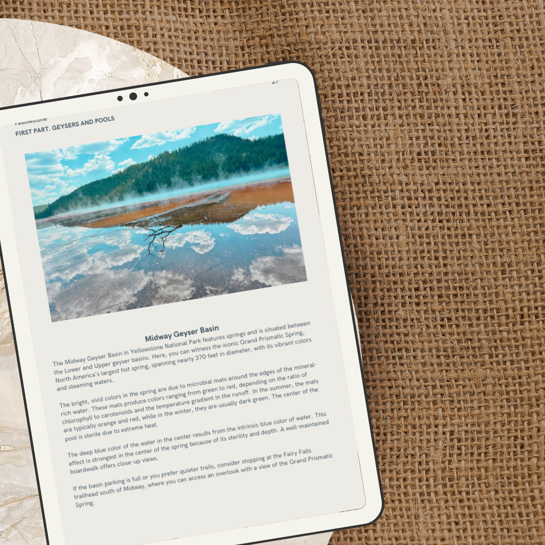 Solo 2026 Promo (3).png