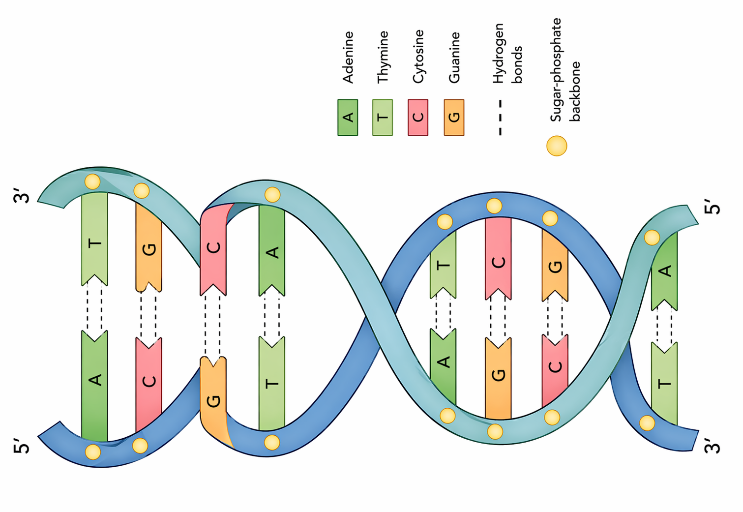 How many genes are involved in Parkinson’s disease? 