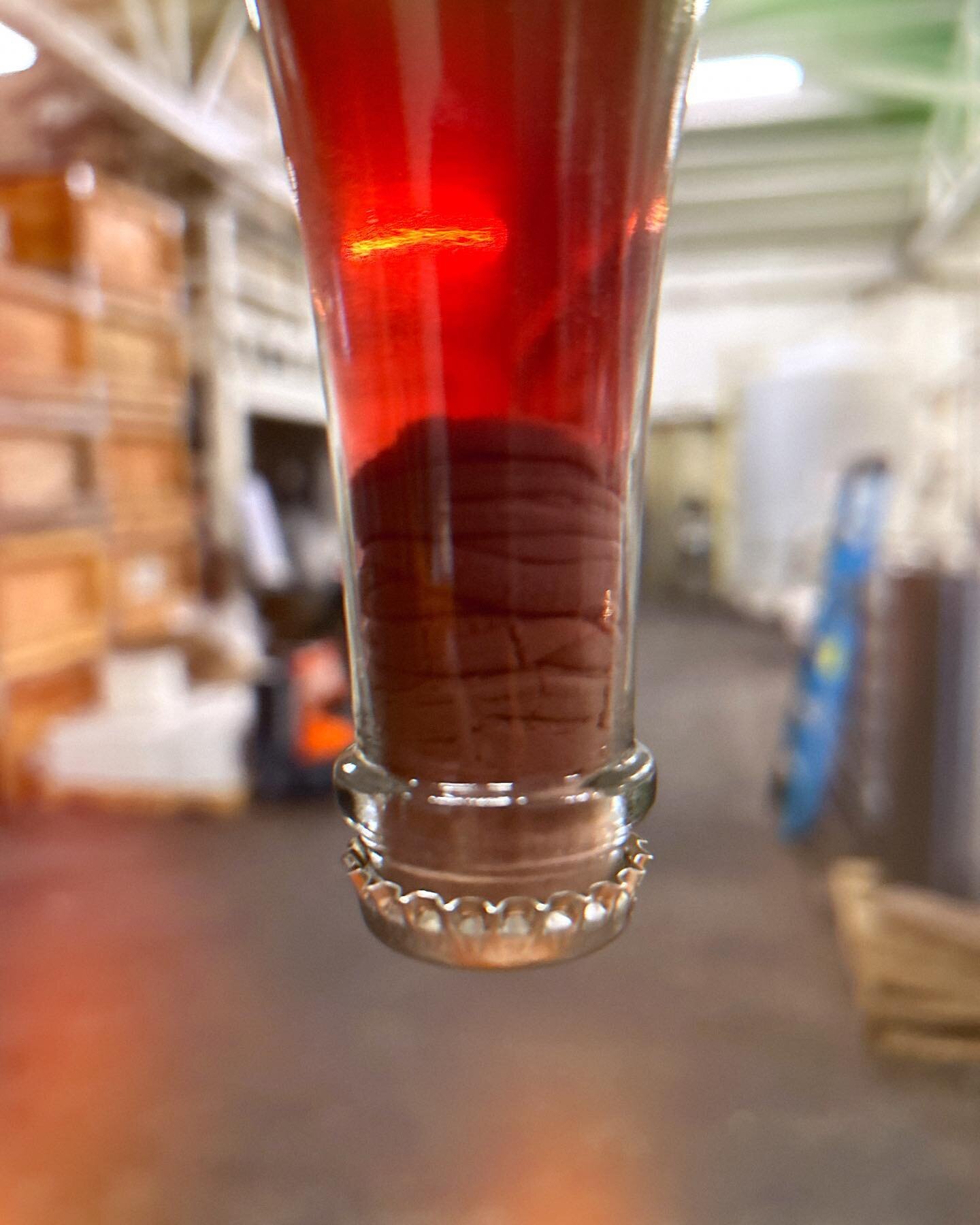 Look at that yeast plug!!! 

Each Echo Wine we produce is a unique co-ferment of two varietals. 2023 Echo is a Burgundian Blend of 80% Chardonnay &amp; 20% Pinot Noir de-stemmed and spontaneously fermented on skins for five days. 

Once pressed, half