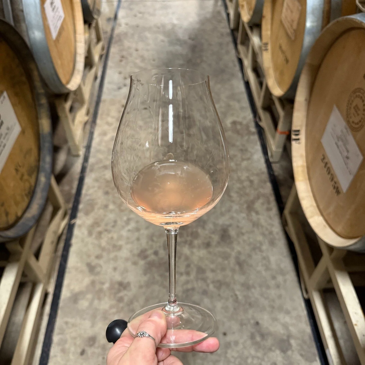 WINE CLUB TIME!

Join us at Caf&eacute; Rowan for a special evening with Chef Spencer Ivankoe&mdash;known for his bold infusions of flavor and stunning plating. This Friday, September 19th, expect a night of seasonal bites and perfectly paired Lafaye