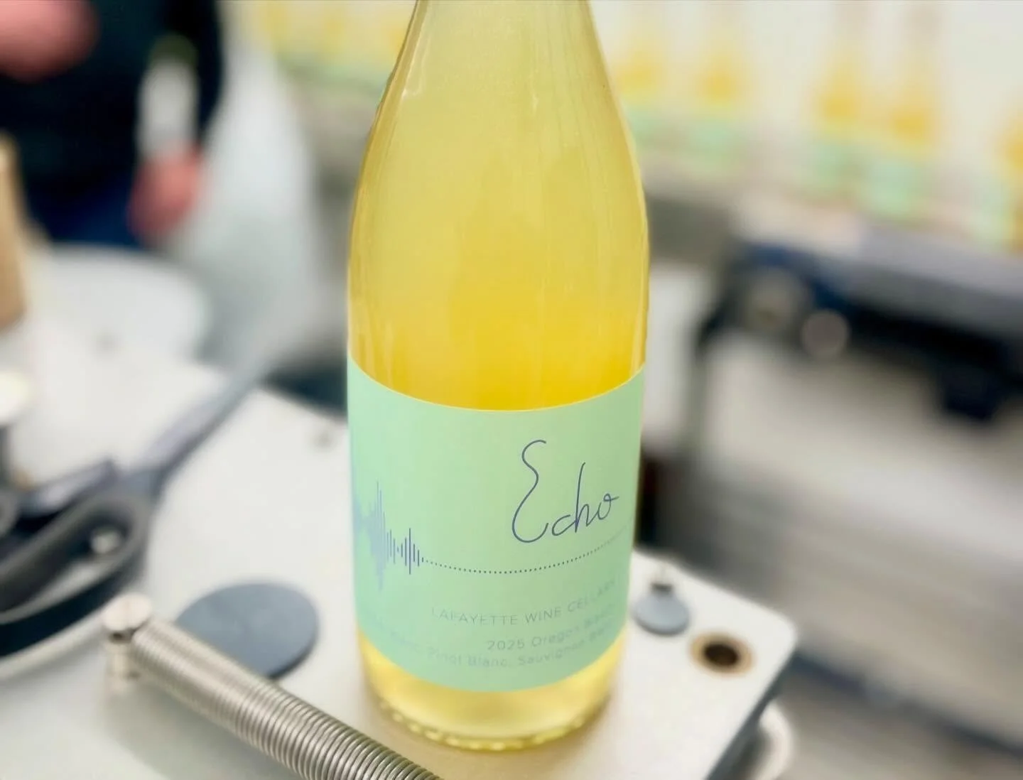 Bottling 2025 Vintage!! Thank you to the amazing team @dobbeswinery for your expertise and tireless efforts! I&rsquo;m very excited to release these @indiewinemixer 🤘🙌💝😋🙈

#lafayettewinecellars #lafayetteandwhitecellars #eocenewine #echowine #em