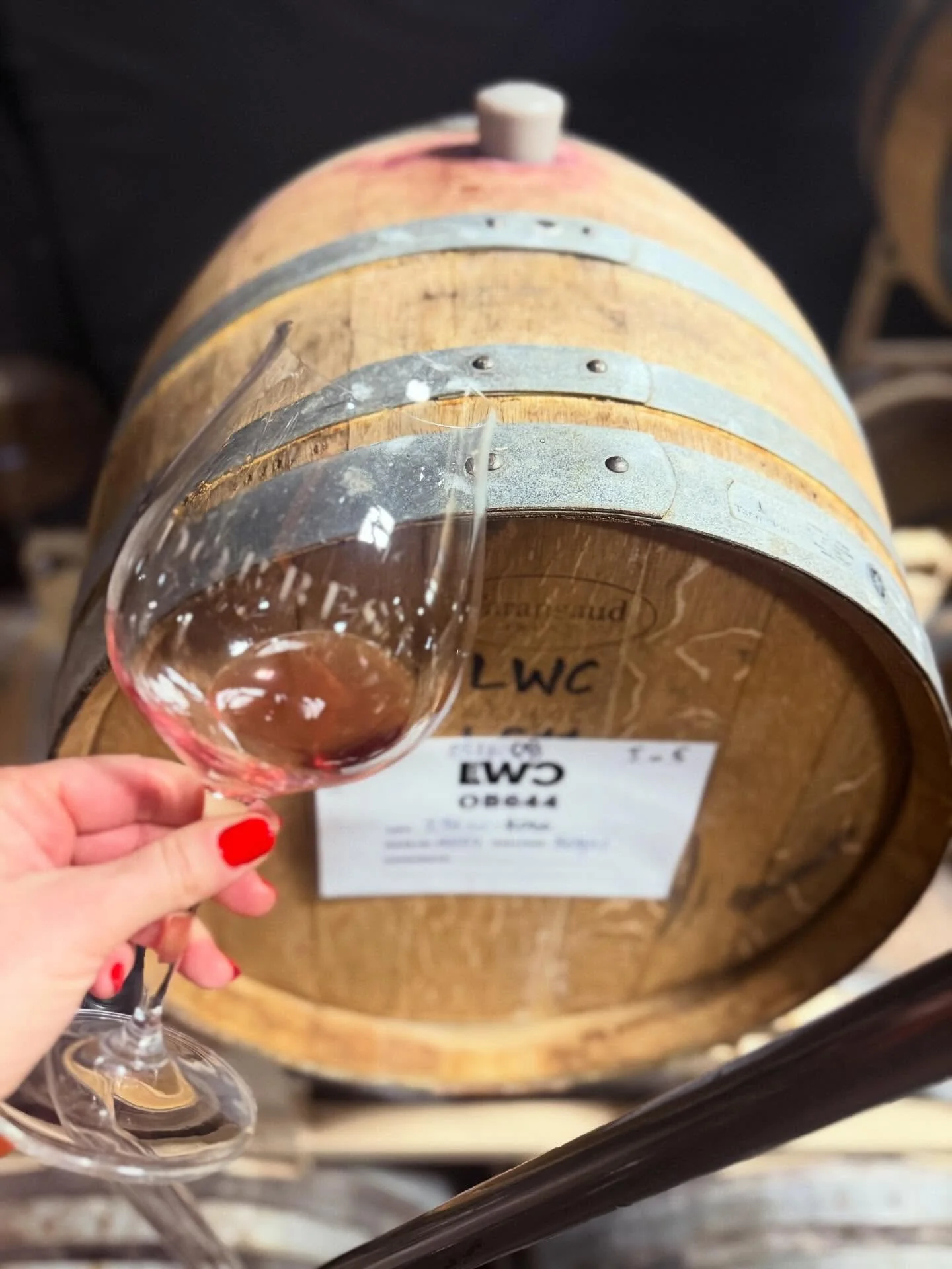 Happy New Year, from @lwcellars ! 

We&rsquo;re excited about pruning #RockyHillVineyard for winter dormancy and prepping 2025 Eocene Ros&eacute; for bottling this Spring! 

It&rsquo;s a super fresh and fruity blend of Pinot Noir + Pinot Gris, wild f