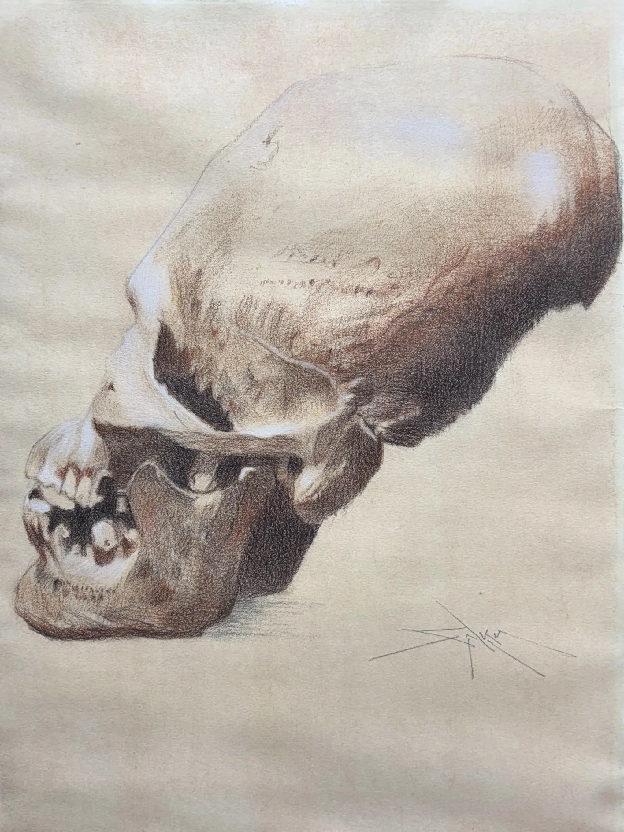 Cranio Mesoamericano (mixed media on toned paper, 9” x 12”), 2026