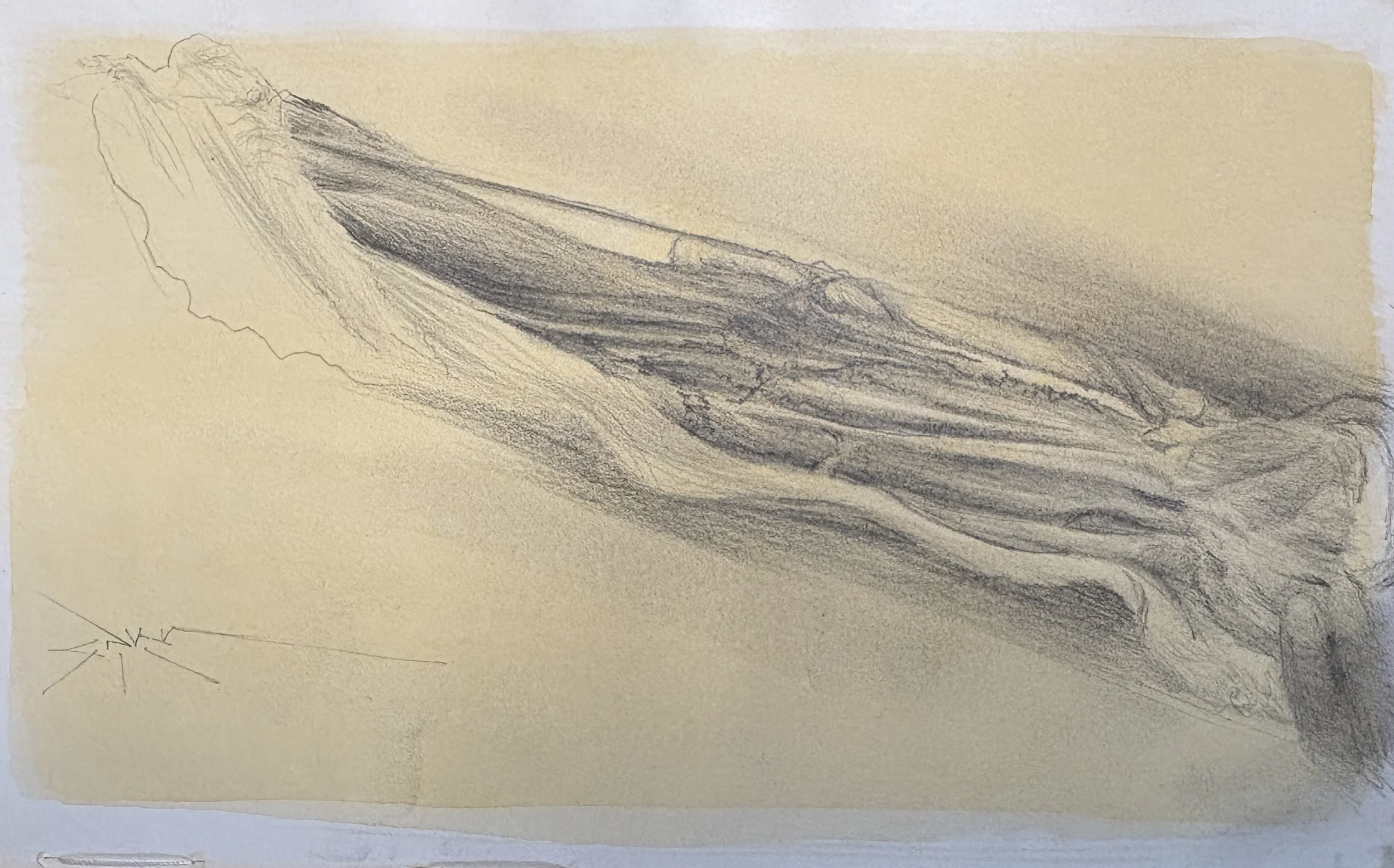 …graphite on toned paper, 4.5” x 7”), 2025