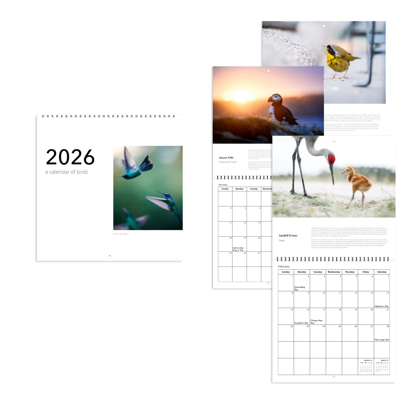 Screenshot 2025-12-02 at 1.02.44 PM 4.png