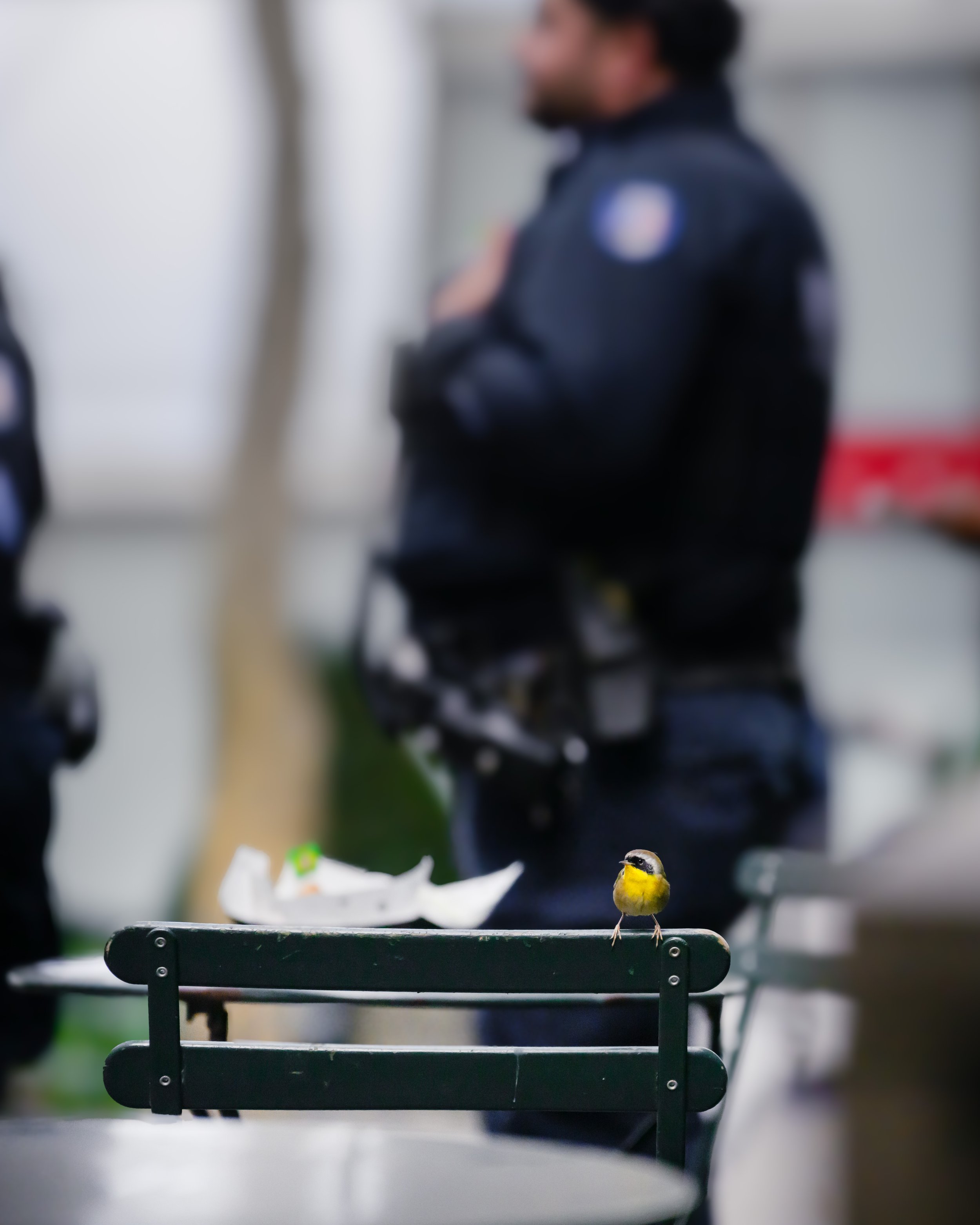 25-1117-1124-Z8J_4200 COYE-2.jpg