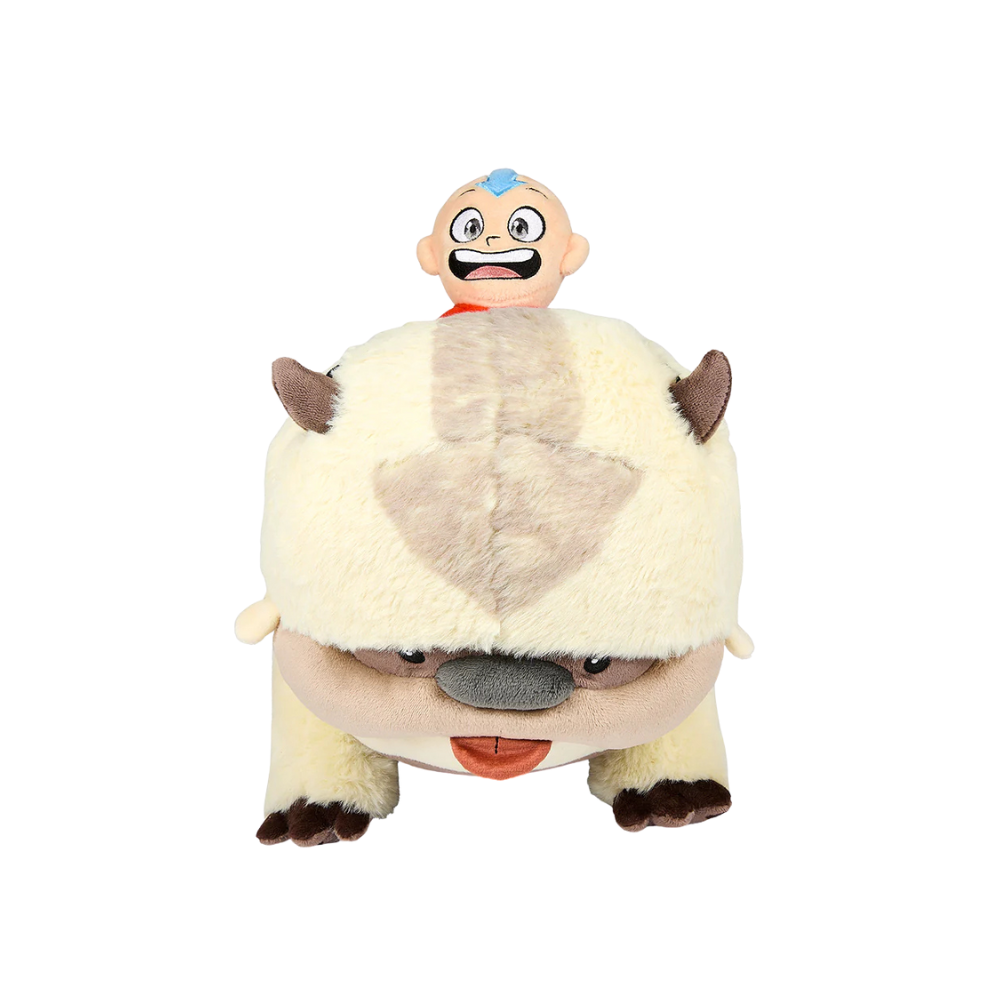 Appa & Aang.png