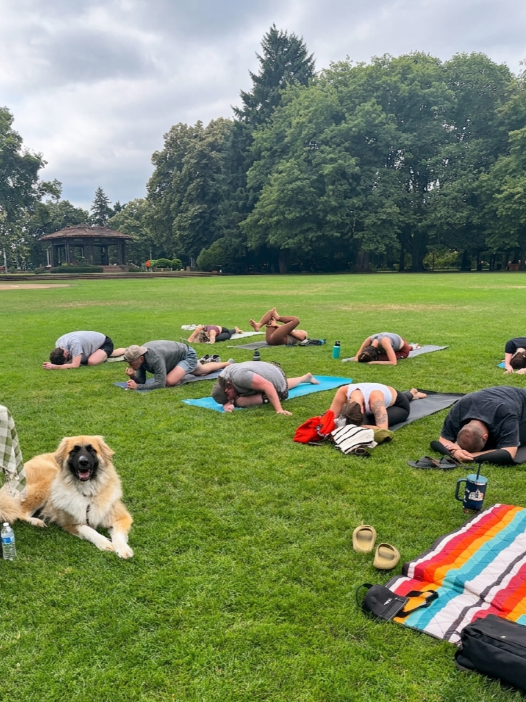 Group practicing outdoor yoga in a Portland park during the Summer Yoga Picnic Series
