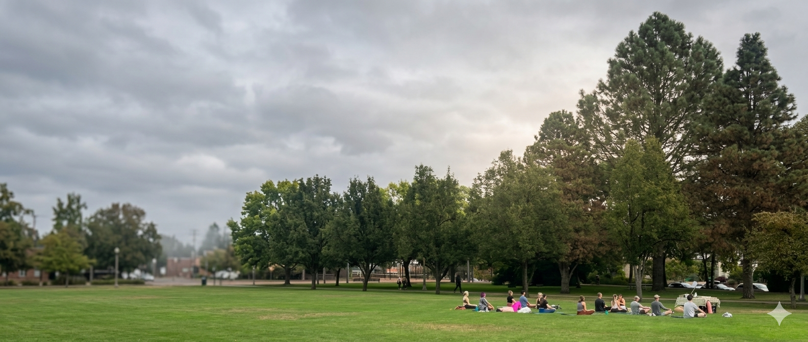 Group practicing outdoor yoga in a Portland park during the Summer Yoga Picnic Series