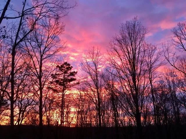 Good morning campers!