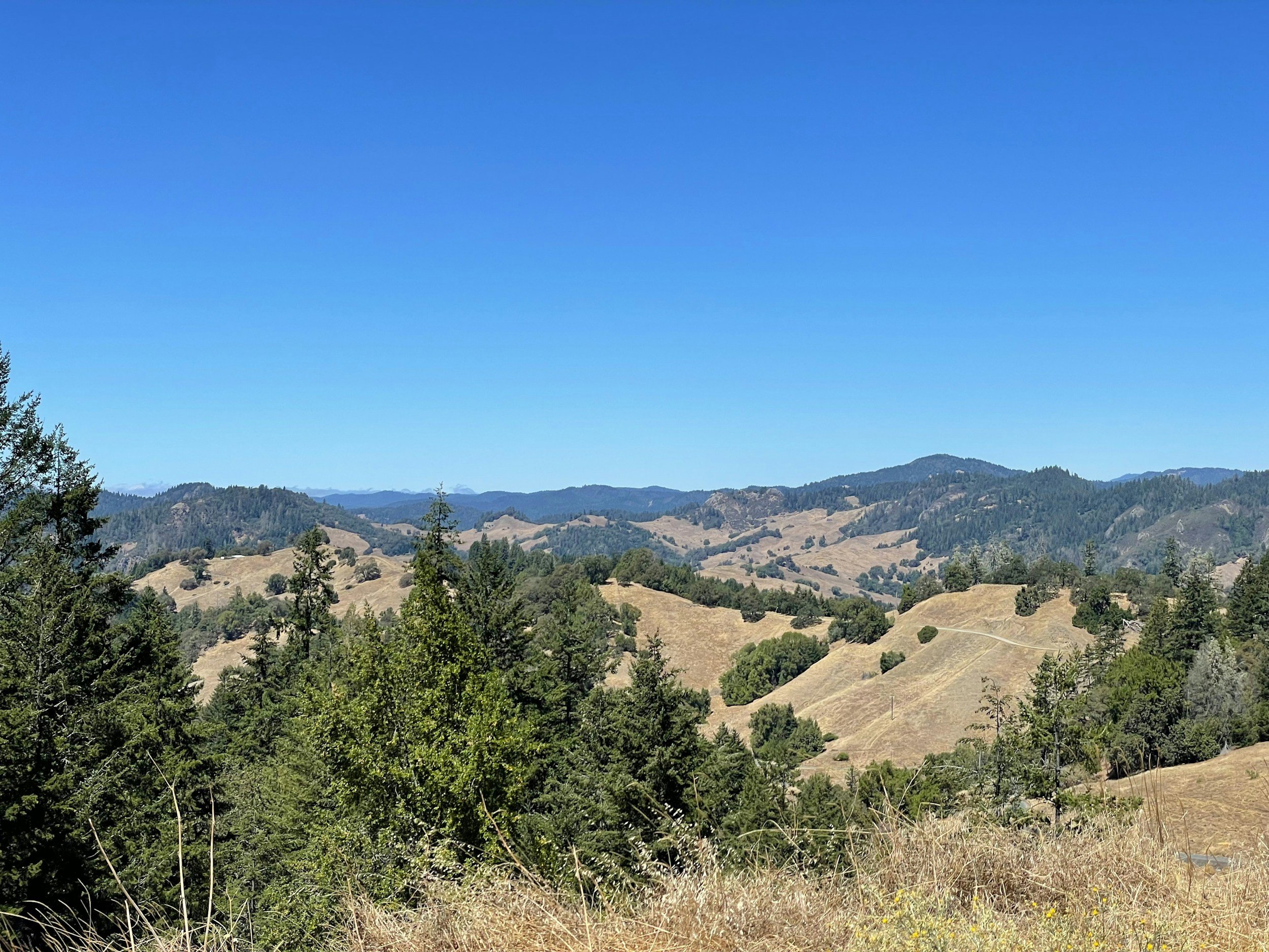 Scenic view of rolling hills with green trees and dry grass under a clear blue sky.