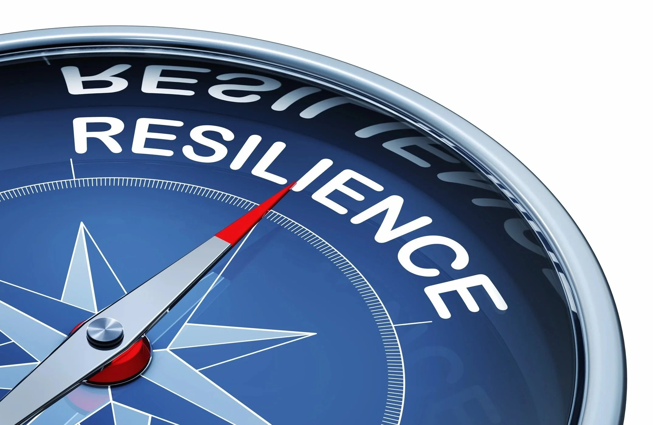 Quarterly Resiliency Forecast-Summer 2026 