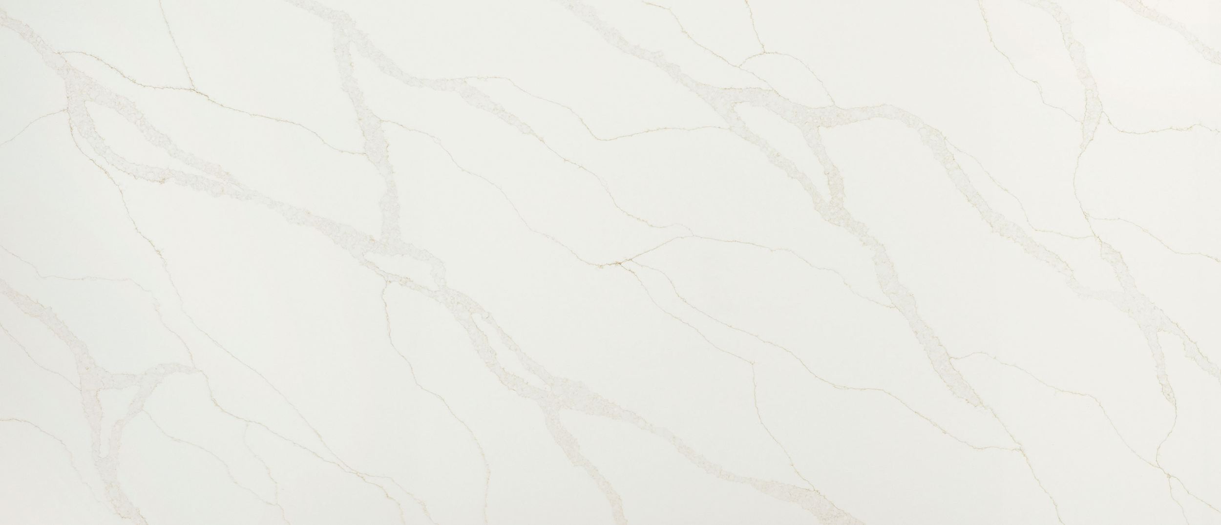 Detailed view of MSI Calacatta Elysio quartz countertop showing a soft white background with intricate branching veins of gray and gold.