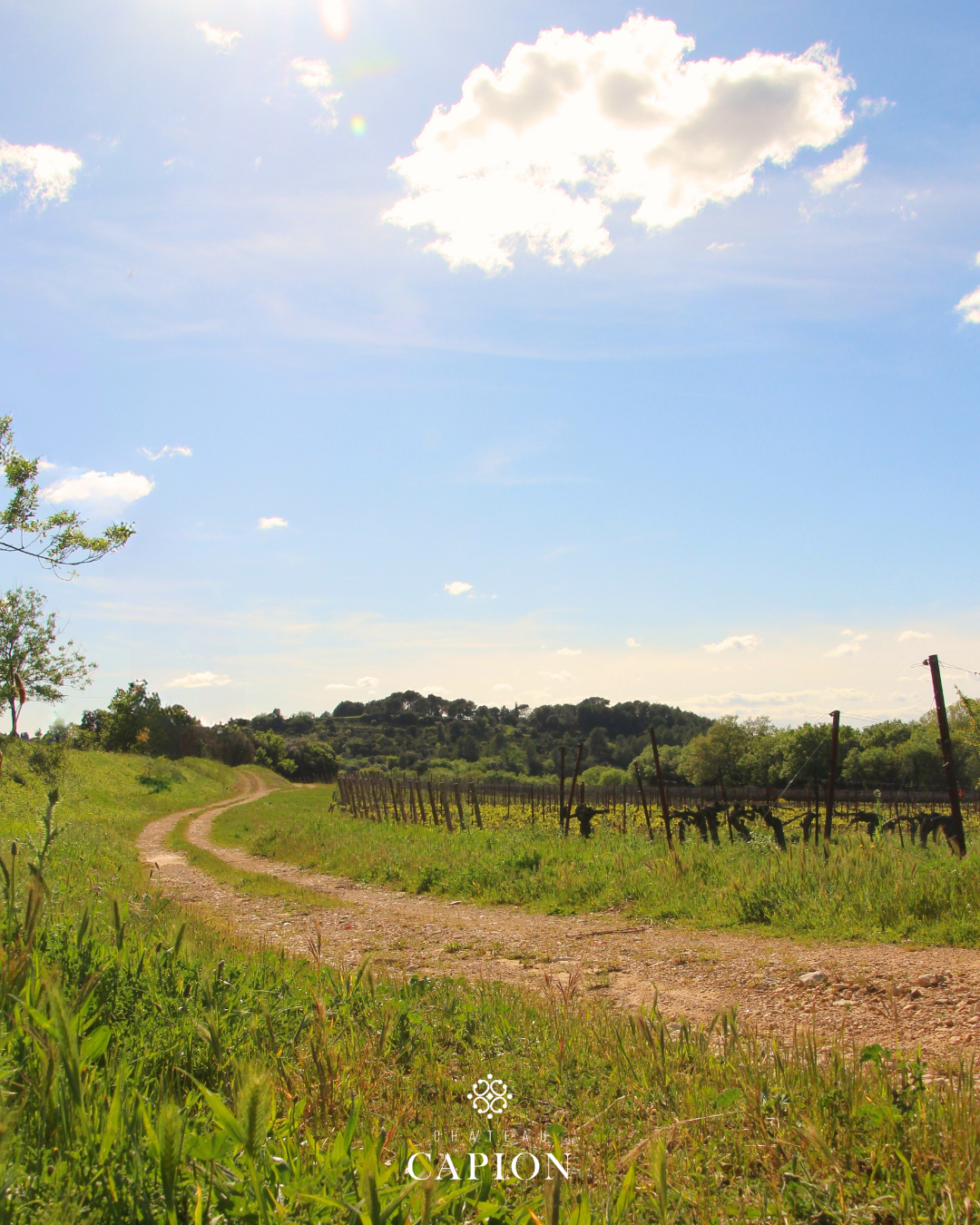 Activité VTT — Château Capion