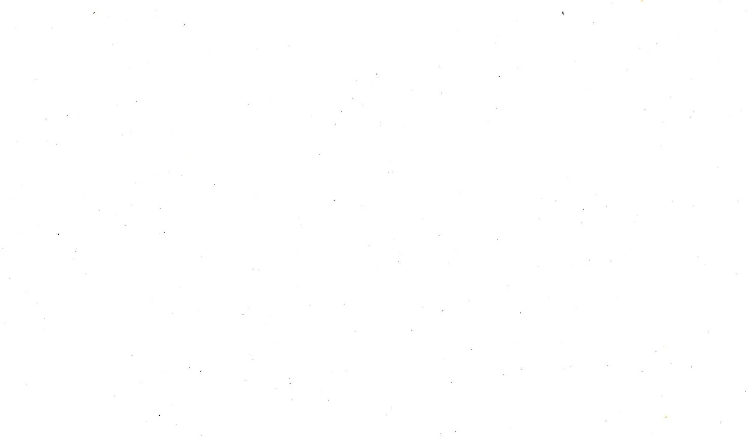 Chicago Dog Walking Service Chicago Dog Walkers