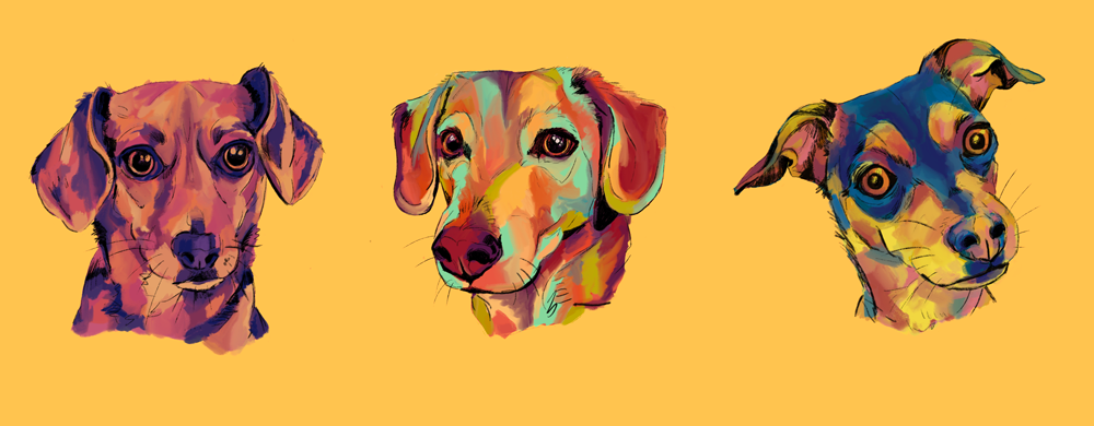 dogs_painted-line-yellow.png