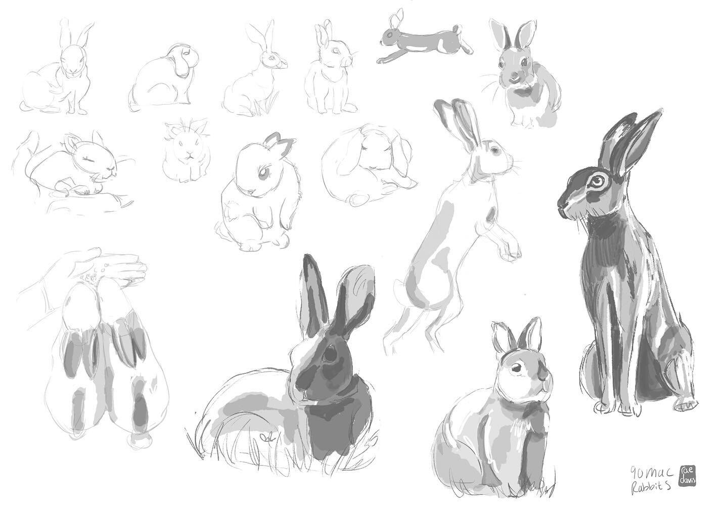 WABBETS my first 90 mac on my cintque 🥺 #90mac #90minuteartchallenge #rabbits #hares #bunnies #bun #bundrawing #photoshop #sketch