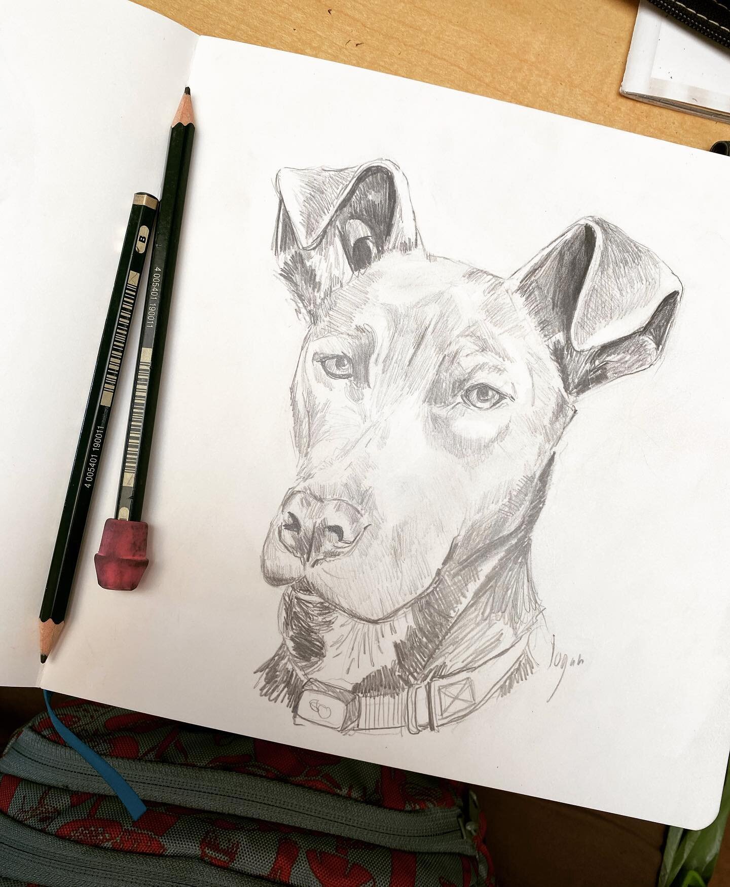 Oooo don&rsquo;t ask me why I haven&rsquo;t posted in forever!!!! Here is a work lunch time drawing of one of my favorite pups at @humanesocietysv his name is Logan! :) #drawing #sketchbook #sketches #dogdrawing #portrait #dogportrait #crosshatch #an