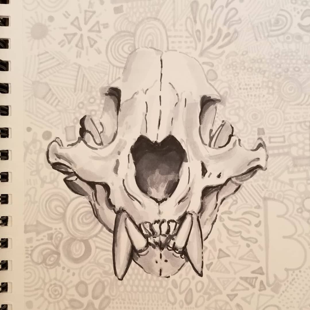 Just a doodle from awhile ago when I got my #prismacolors and then forgot I had them 

#sketchbook #sketch #doodle #skull #ceyoteskull #animalskull #drawing #markers #inkdrawing #blackandwhite