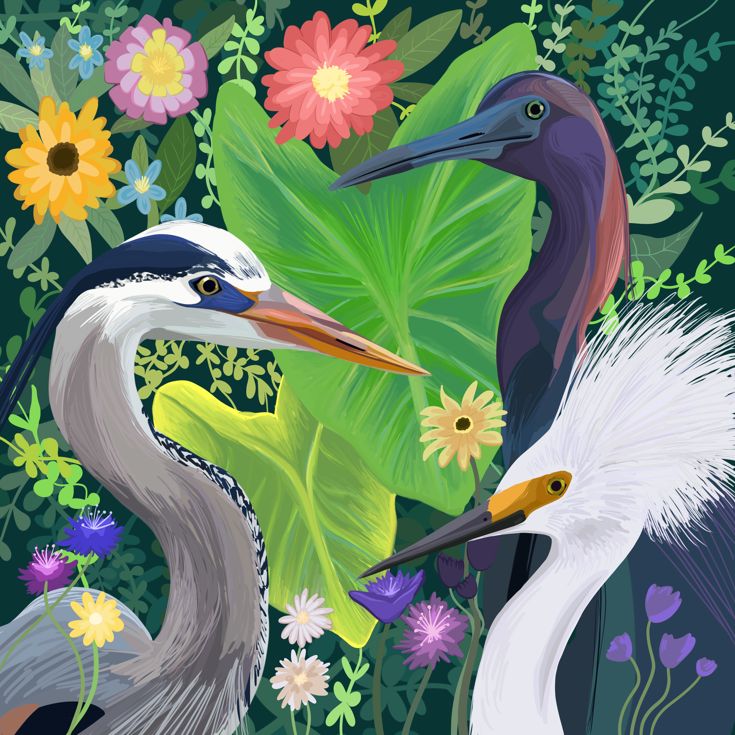 Waterbird Concept Mural