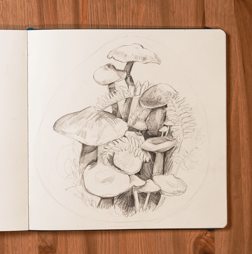 Sketchbooks