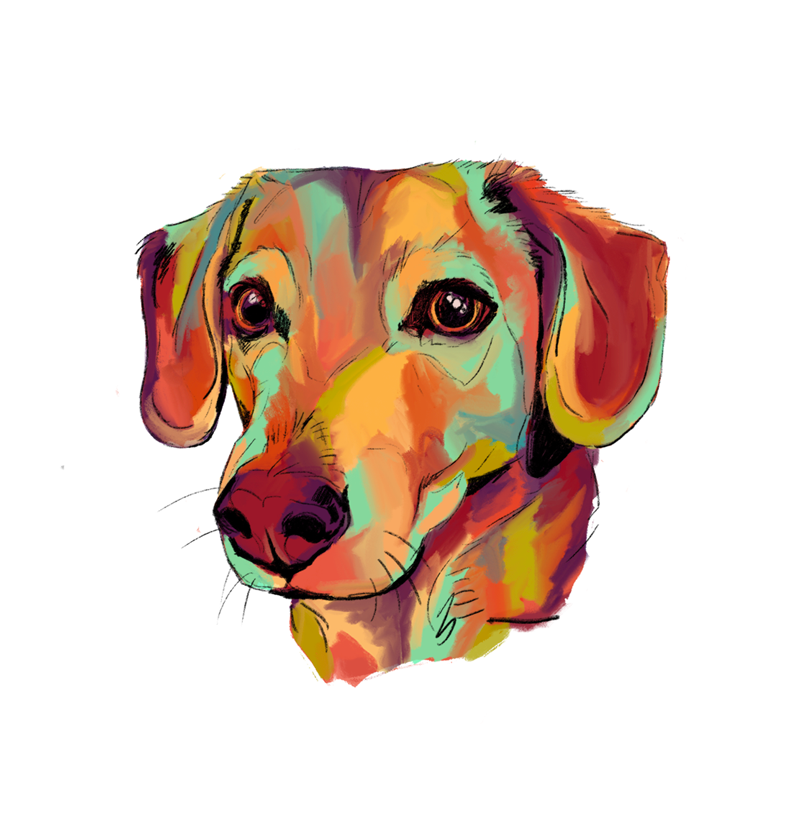 WIP Digital Illustration: Dog Patterns