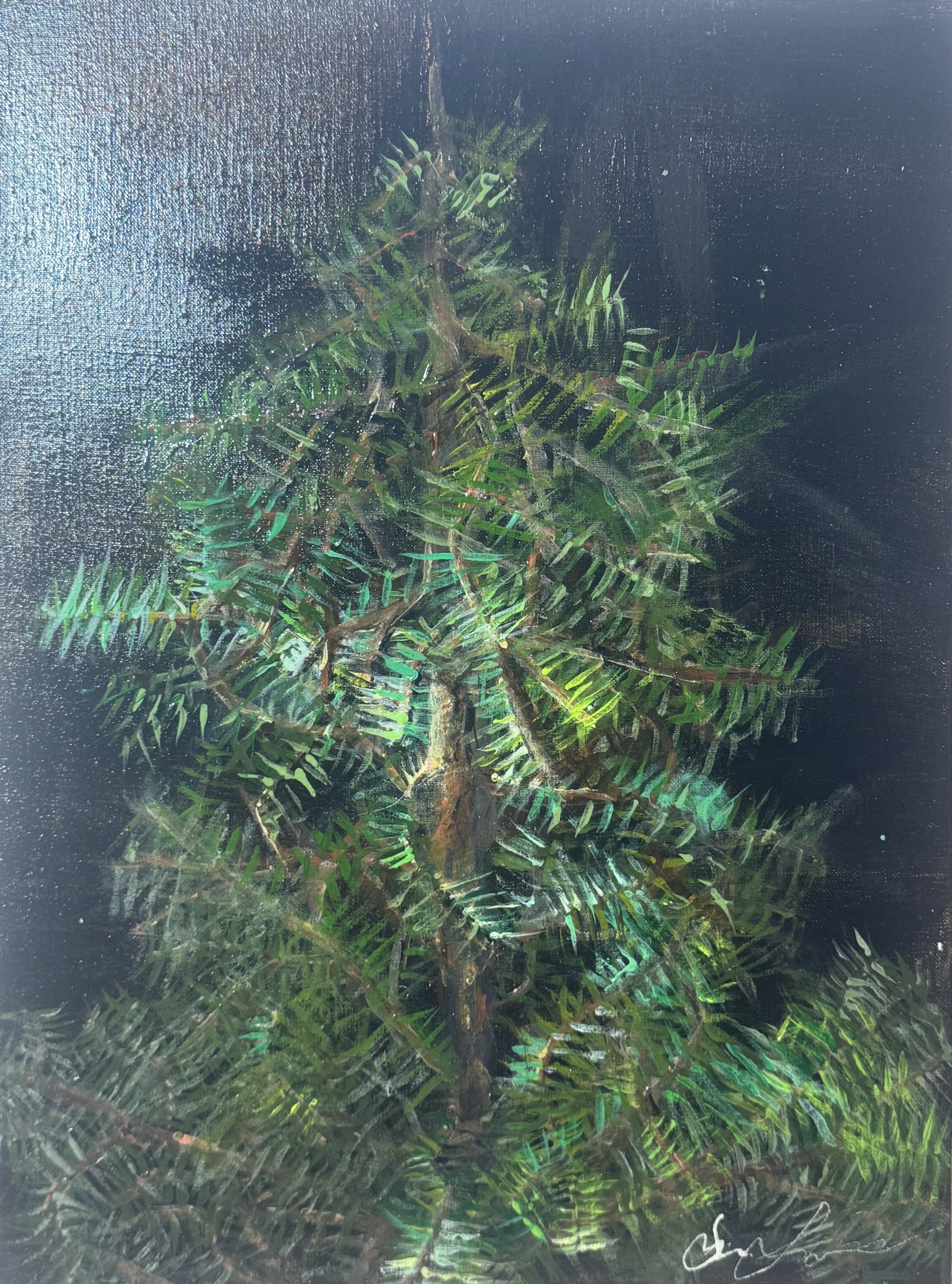 IMG_0416.jpeg