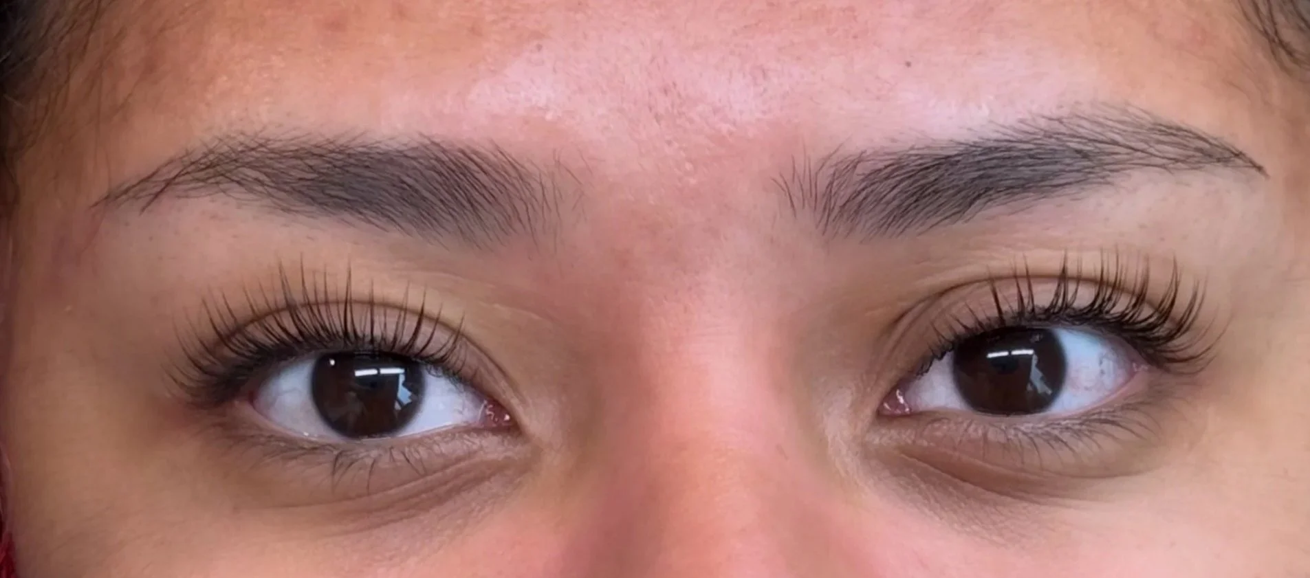 Northern VA Fairfax VA Korean Lash Lift Specialist