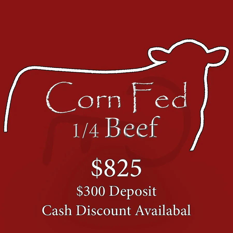 Corn Fed Beef