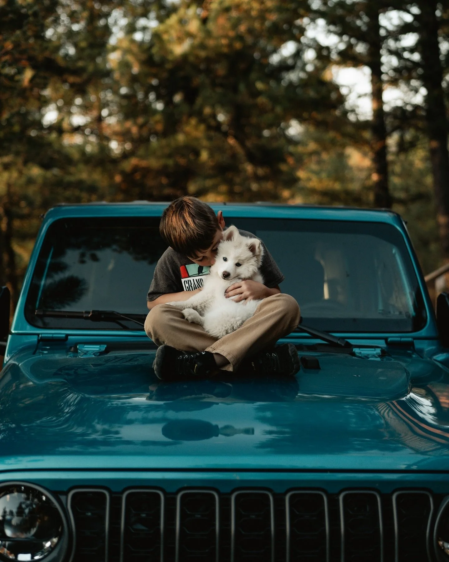 Throwback to when we first got Indy 🫶🏼

#pomskygram #adventurepomsky #dogsofinstagram #mountainpup #jeeplife #dogswhotravel #dogmodel #wanderingpups #dogfluencer #pupfluencer #dogenrichment #outwestclub