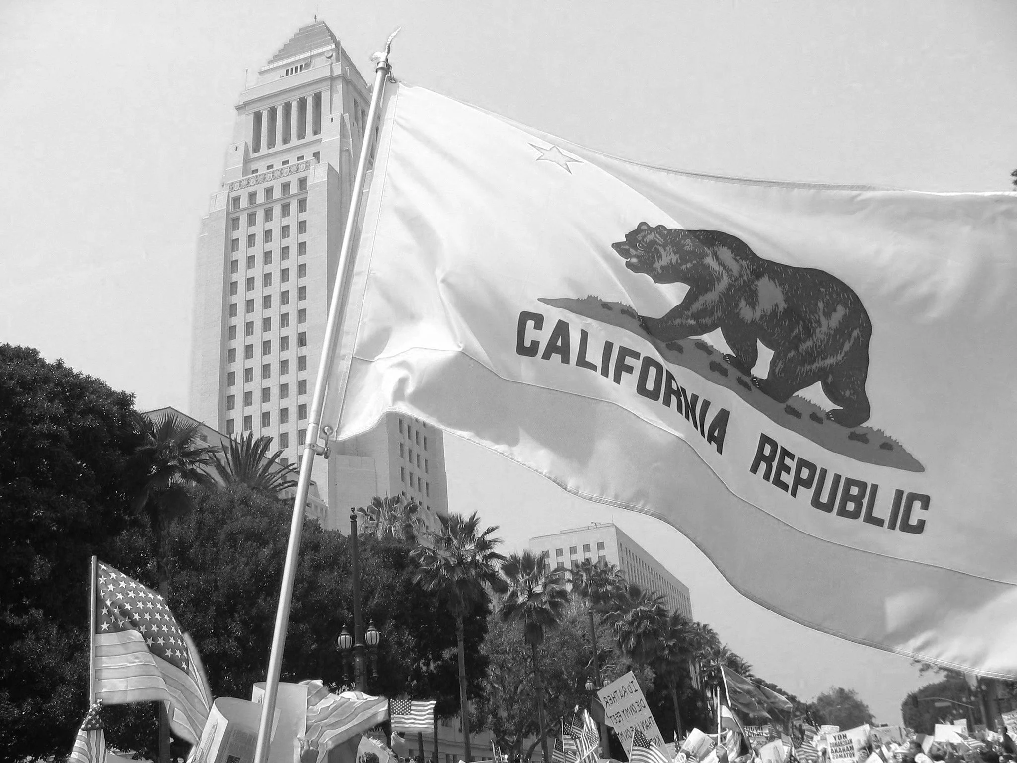 CA flag Bernal photo.jpg