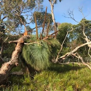 Protecting Nature on the Bellarine: Nature Covenants 